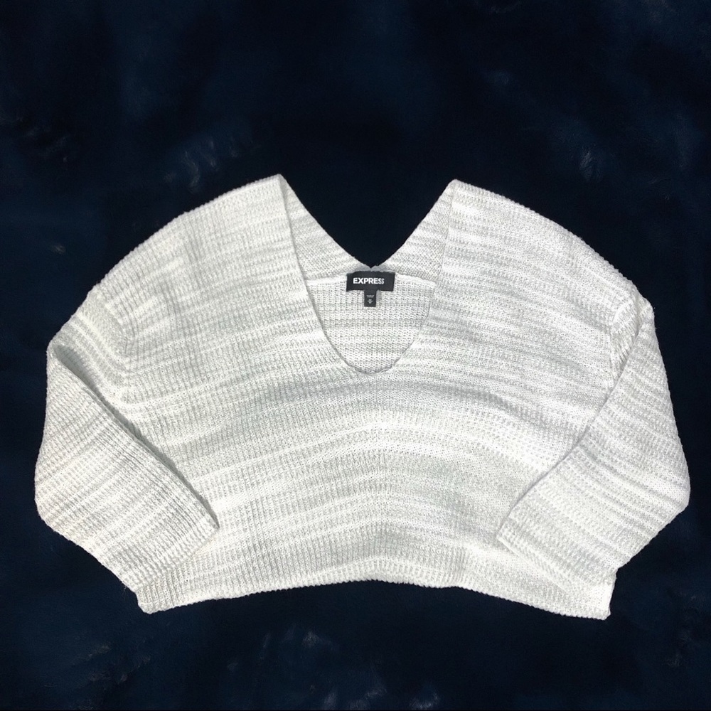 Express sweater